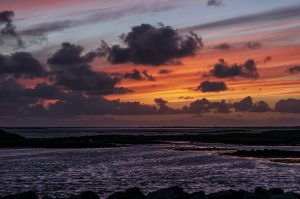  DSC7408 uist