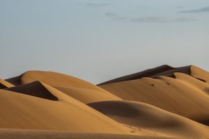  DSC9252 wahiba sands