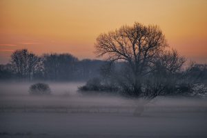 Silke Hüttche - Kontraste - Naturfotogruppe