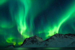 Aurora Lofoten