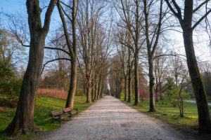 Dennis Daumann Rombergpark