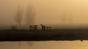 Nebel am Kanal