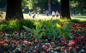 Regine Gies Frühling im Park