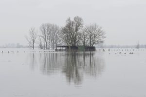 U.Ma.Niederrhein 2018 01 27 0600 Kopie