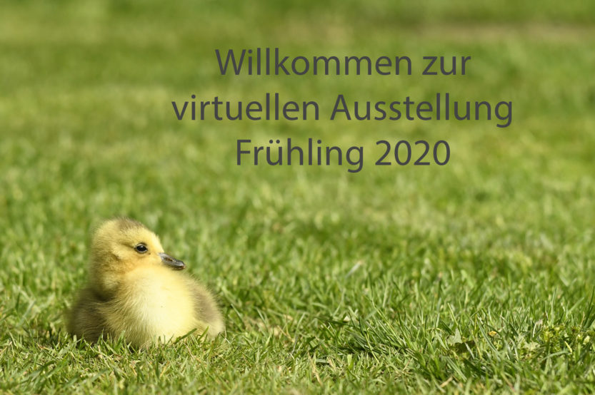 Virtuelle Clubausstellung – Frühling 2020