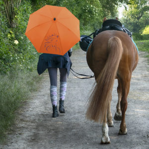 Hartmut Stolp - BBI 2020 11 (Thema: Umbrella Time) - Sunny Walk