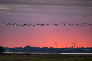 Mecklenburg Vorpommern