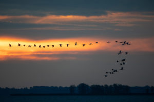 Mecklenburg Vorpommern