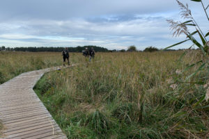 Mecklenburg Vorpommern