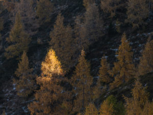 Höhenweg am Hierzer2 ( Passertal )