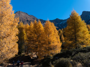 Höhenweg am Hierzer3 ( Passertal )