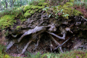 NaturIntensiv häßlich nicht schön