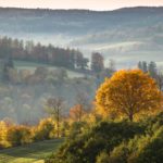 K1-01 Bernhard Müller: Herbstlandschaft