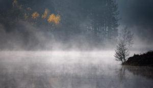 Christian Gleim - foggy autumn