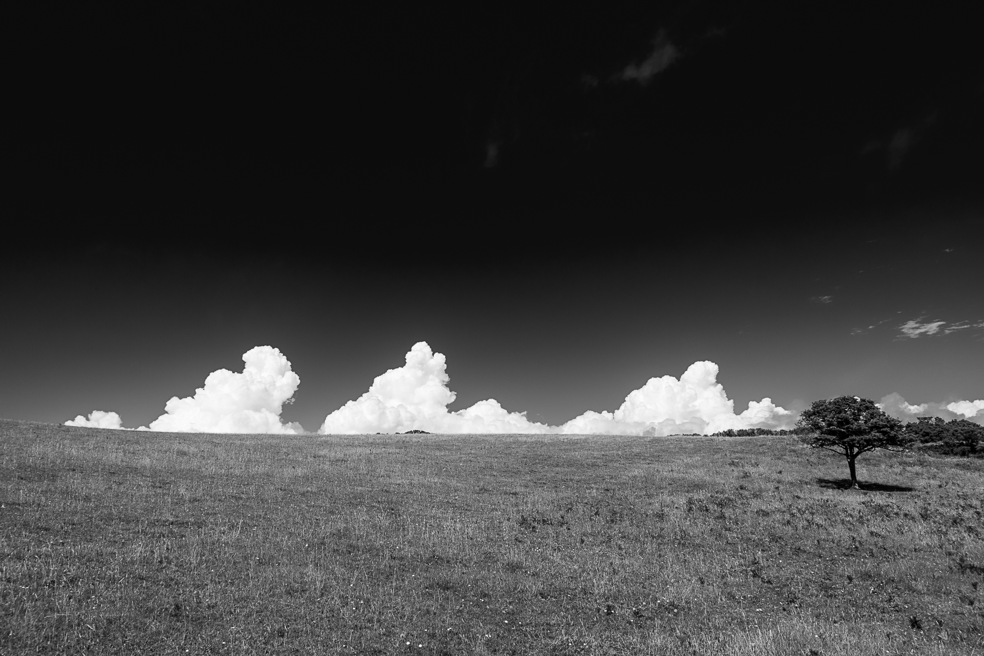 Präsenzwettbewerb Februar: Landschaft in Schwarz – Weiß