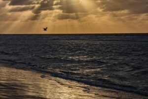 Strand in Renesse, Niederlande