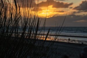 Strand in Renesse, Niederlande