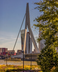 Erasmusbrücke in Rotterdam