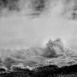 2008 Yellowstone