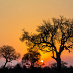 Platz 05 Petra Barwe