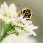 Platz 08 Birgit Klewer