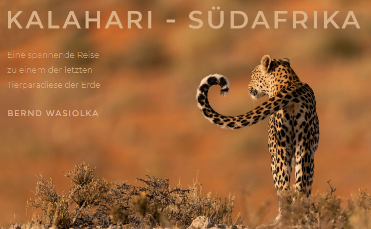 Bernd Wasiolka Kalahari – Eine Reise ins wilde Südafrika