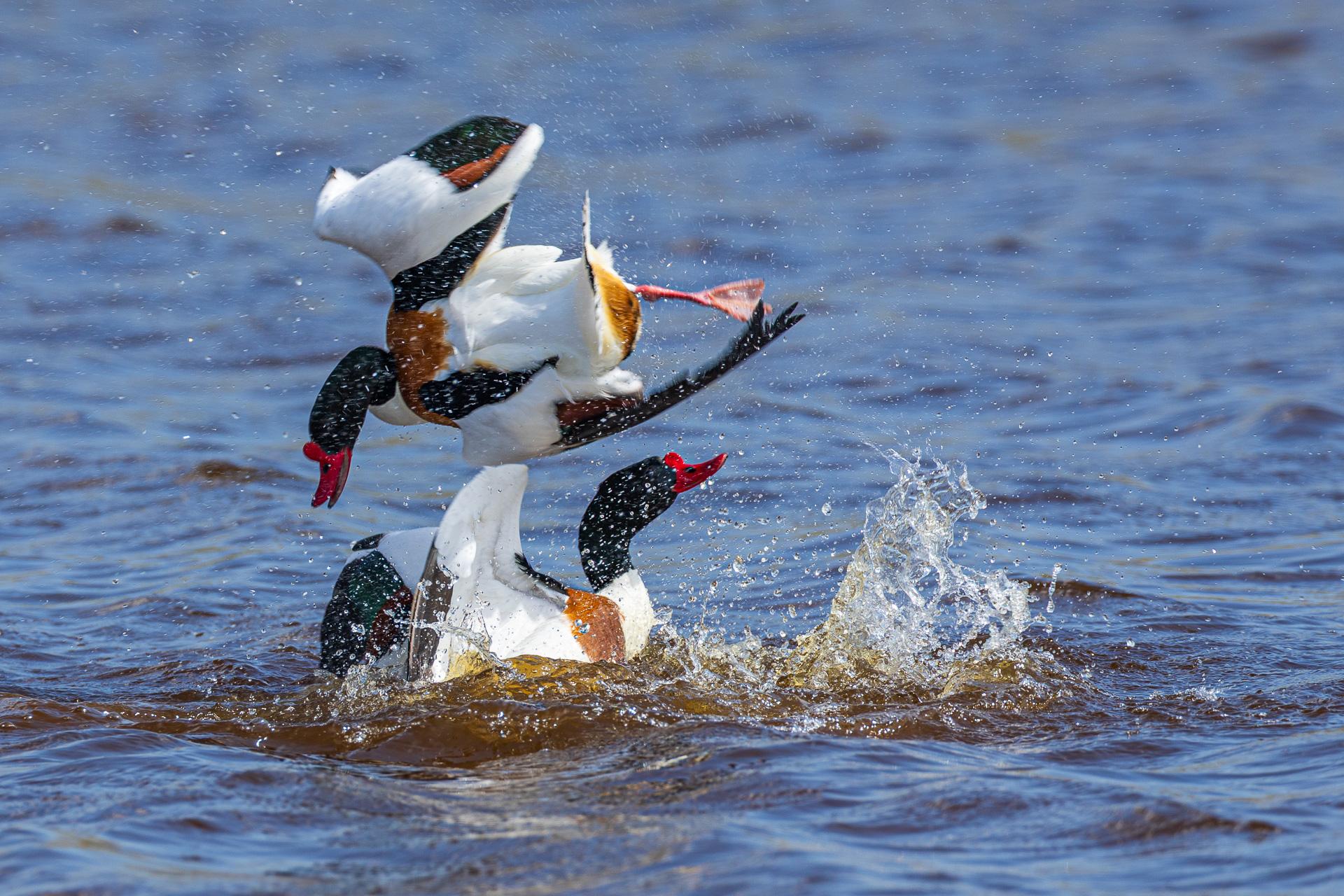 NATUR AN FLUSS, SEE UND KÜSTE