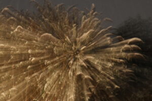 BrigitteMueller Krampe