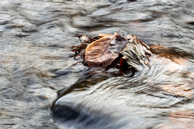 Wasser-Linien – Dagmar Fraude