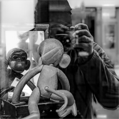 Drei Affen und Ein Auslöser (Schaufenster, Berlin 2025).jpg – Volkhart Li