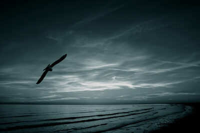 blue Sunset – Günther Weber