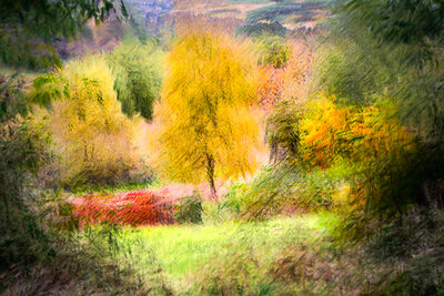 Platz 10 Herbst.jpg – Birgit Klewer