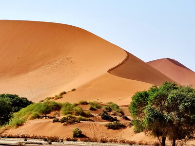 Düne in Namibia – Peter Ludwig