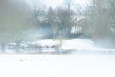 Teich im Schnee- .jpg – Beate Scheffler