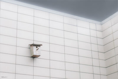 Entrückt (Wuppertal, 2021).jpg – Volkhart Li