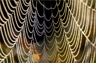 Collier aus Licht – Heinfried Schwack