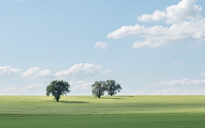 25_Kulturlandschaft.jpg – Ute Matzkows