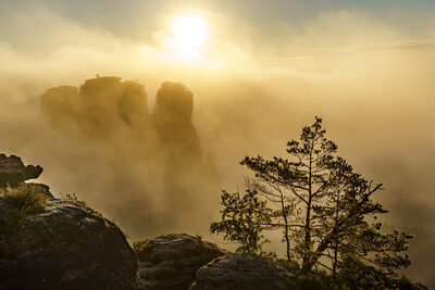 Die Bastei - Ferdinand-Aussicht – Peter Muckenhaupt