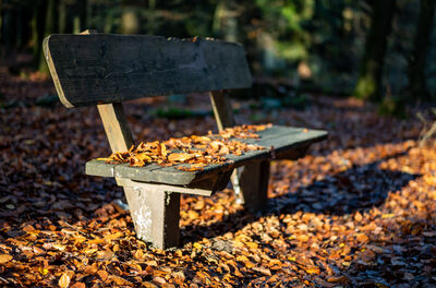 Platz 07 IMG_0796.JPG – Benjamin Thimm