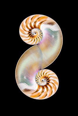 Platz 06 Horst Fiedler.jpg – Horst Fiedler