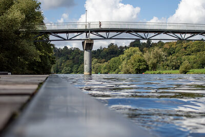 Brücke Nachtigall – Dagmar Fraude