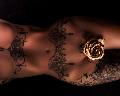 Goldene Rose.jpg – Burkhard Pook