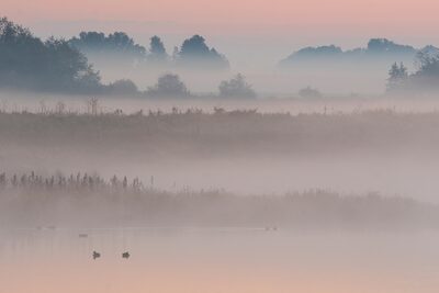 29_Schichten aus Nebel und Landschaft.jpg – Ute Matzkows