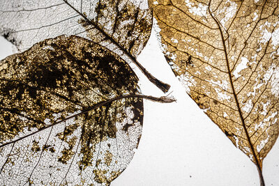 Platz 08 Herbst-2.jpg – Birgit Klewer