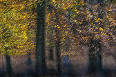 Platz 05 _DSC0330_icm.jpg – Claus Schäfer