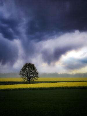 Platz 03 Ruhe.jpg – Michael Stenschke