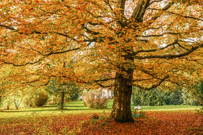 Herbst – Peter Muckenhaupt