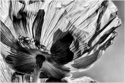 Down under (2020-06. Witten) – Peter Grossmann