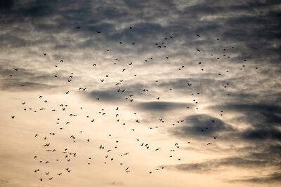 Platz 06 Wolken.jpg – Birgit Klewer