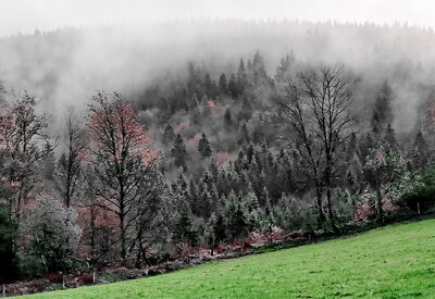 Platz 12 Herbst2.jpg – Peter Ludwig